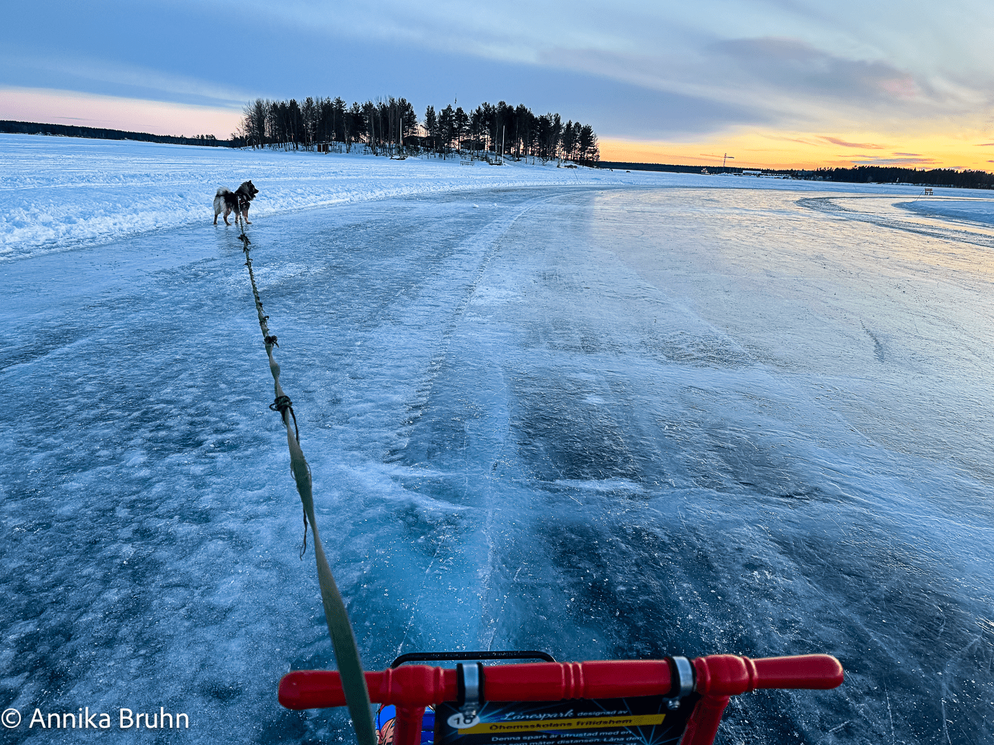 Eisschlitten fahren mit Q